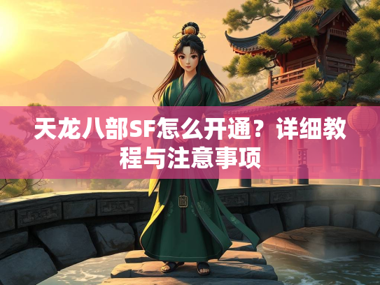天龙八部SF怎么开通？详细教程与注意事项  第2张