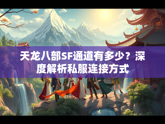 天龙八部SF通道有多少？深度解析私服连接方式  第4张