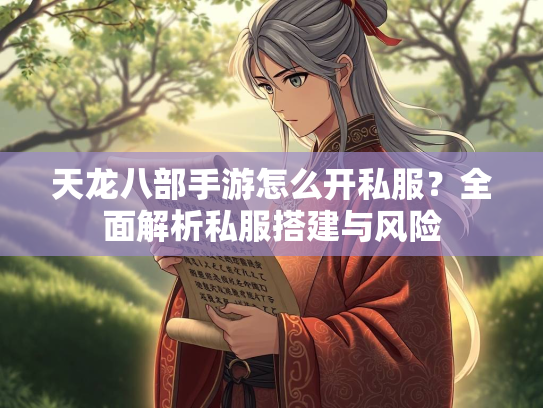 天龙八部手游怎么开私服？全面解析私服搭建与风险  第3张