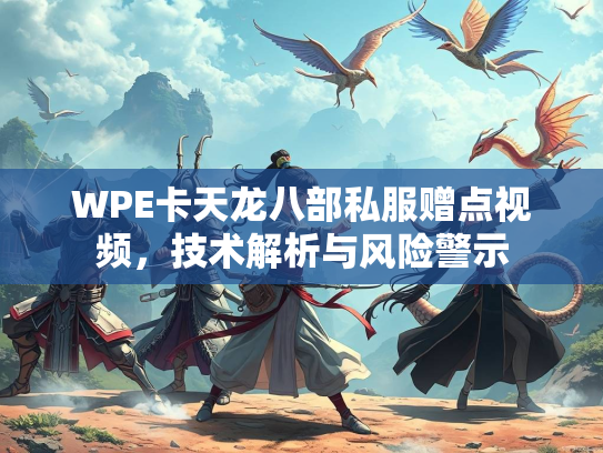 WPE卡天龙八部私服赠点视频，技术解析与风险警示