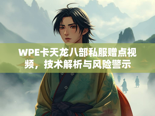WPE卡天龙八部私服赠点视频，技术解析与风险警示  第4张