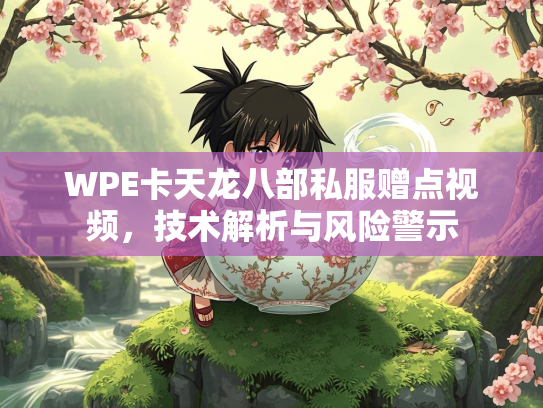 WPE卡天龙八部私服赠点视频，技术解析与风险警示
