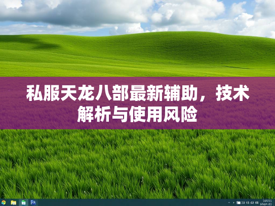 私服天龙八部最新辅助，技术解析与使用风险