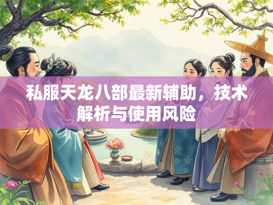 私服天龙八部最新辅助，技术解析与使用风险  第5张
