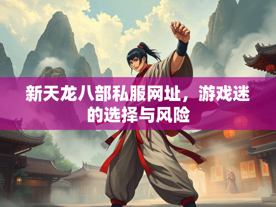 新天龙八部私服网址，游戏迷的选择与风险