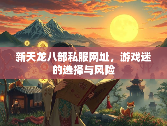 新天龙八部私服网址，游戏迷的选择与风险