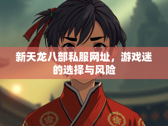 新天龙八部私服网址，游戏迷的选择与风险