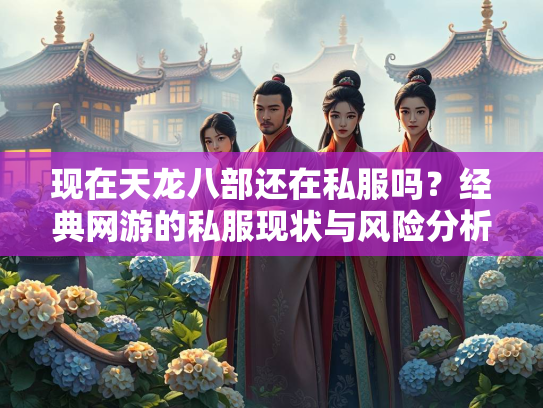 现在天龙八部还在私服吗？经典网游的私服现状与风险分析  第4张