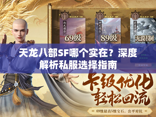 天龙八部SF哪个实在？深度解析私服选择指南  第3张