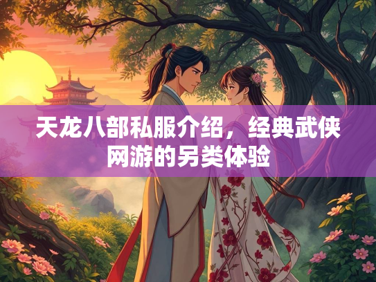 天龙八部私服介绍，经典武侠网游的另类体验  第2张