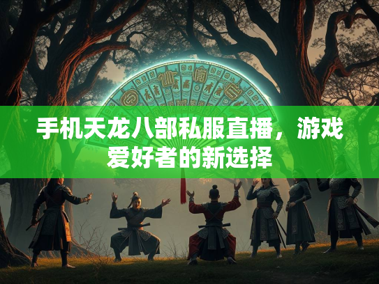 手机天龙八部私服直播，游戏爱好者的新选择