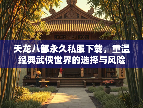 天龙八部永久私服下载，重温经典武侠世界的选择与风险  第5张