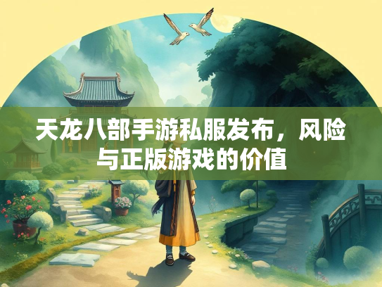 天龙八部手游私服发布，风险与正版游戏的价值  第2张