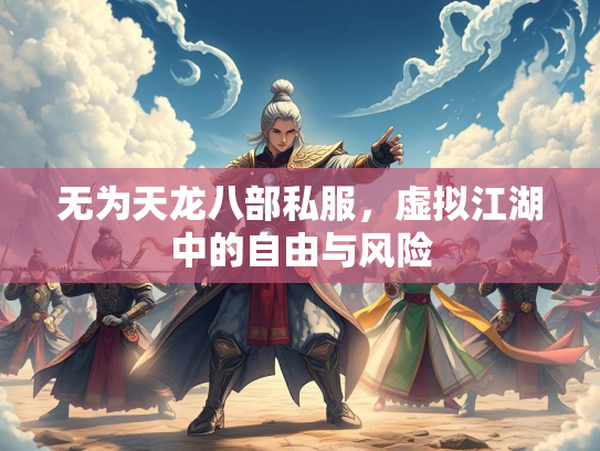 无为天龙八部私服，虚拟江湖中的自由与风险