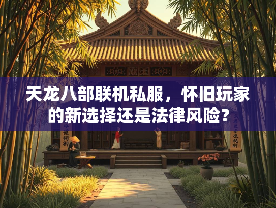 天龙八部联机私服，怀旧玩家的新选择还是法律风险？  第3张