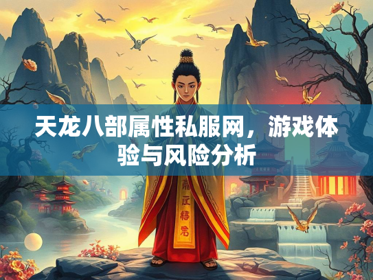 天龙八部属性私服网，游戏体验与风险分析  第2张