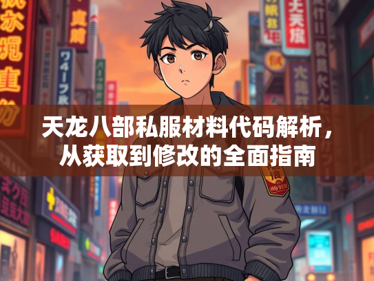 天龙八部私服材料代码解析，从获取到修改的全面指南