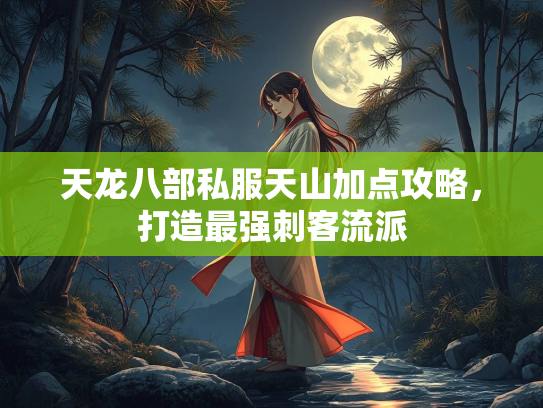 天龙八部私服天山加点攻略，打造最强刺客流派