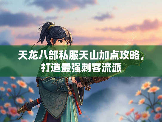 天龙八部私服天山加点攻略，打造最强刺客流派