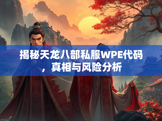 揭秘天龙八部私服WPE代码，真相与风险分析  第2张