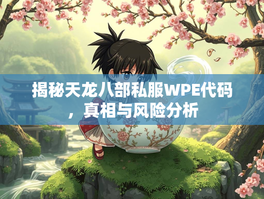 揭秘天龙八部私服WPE代码，真相与风险分析