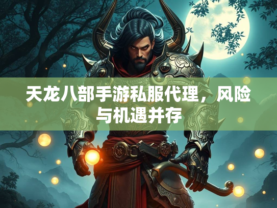 天龙八部手游私服代理，风险与机遇并存  第3张