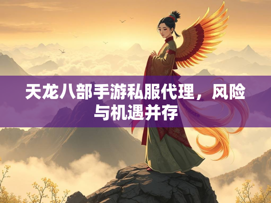 天龙八部手游私服代理，风险与机遇并存