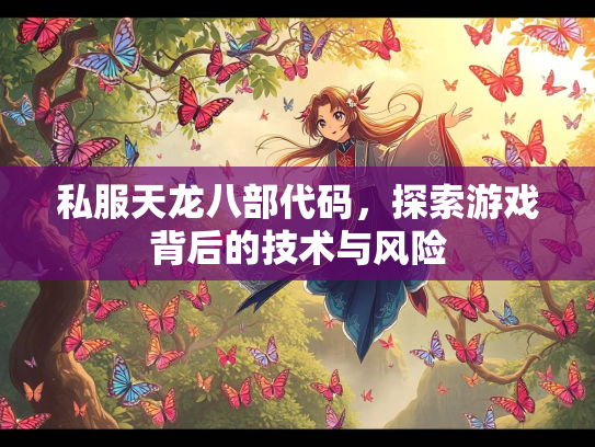 私服天龙八部代码，探索游戏背后的技术与风险  第2张
