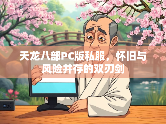 天龙八部PC版私服，怀旧与风险并存的双刃剑  第2张