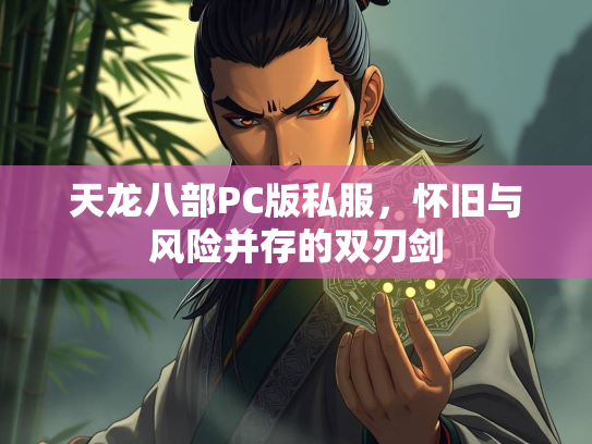 天龙八部PC版私服，怀旧与风险并存的双刃剑