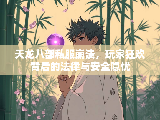 天龙八部私服崩溃，玩家狂欢背后的法律与安全隐忧
