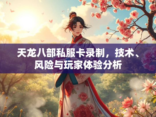天龙八部私服卡录制，技术、风险与玩家体验分析