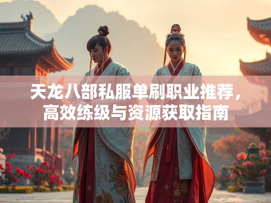 天龙八部私服单刷职业推荐，高效练级与资源获取指南  第3张