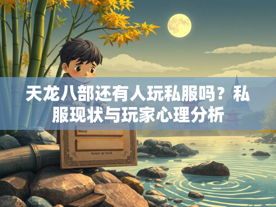 天龙八部还有人玩私服吗？私服现状与玩家心理分析  第2张