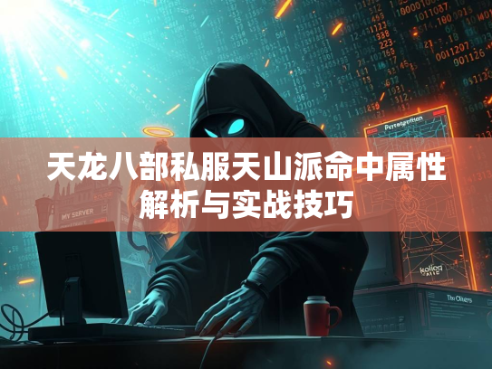 天龙八部私服天山派命中属性解析与实战技巧