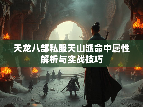 天龙八部私服天山派命中属性解析与实战技巧