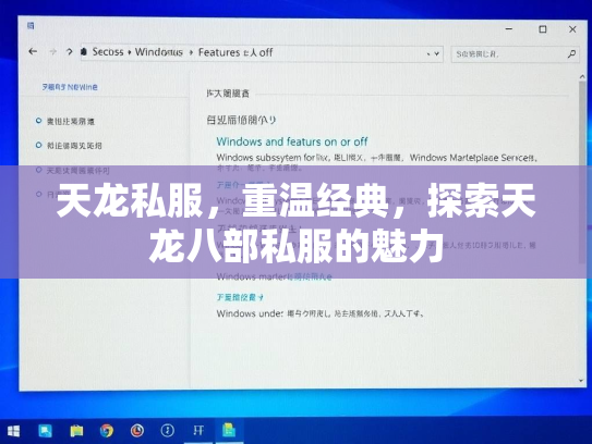 天龙私服，重温经典，探索天龙八部私服的魅力
