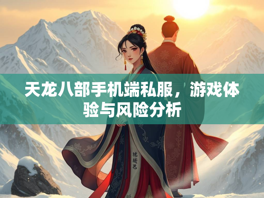 天龙八部手机端私服，游戏体验与风险分析  第3张