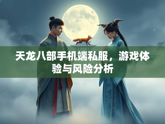 天龙八部手机端私服，游戏体验与风险分析  第1张