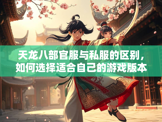 天龙八部官服与私服的区别，如何选择适合自己的游戏版本？  第2张