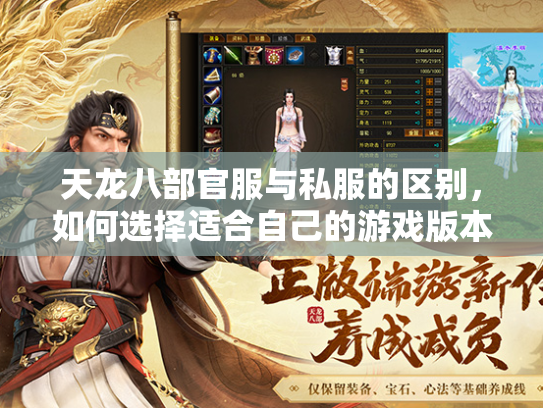 天龙八部官服与私服的区别，如何选择适合自己的游戏版本？  第1张