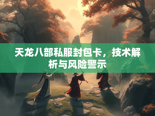 天龙八部私服封包卡，服封风险技术解析与风险警示  第1张