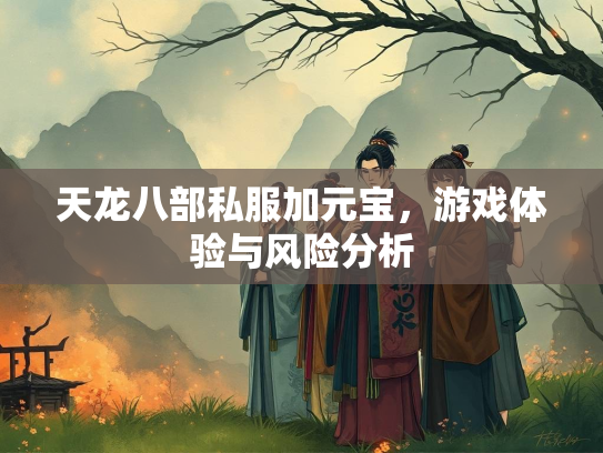 天龙八部私服加元宝，游戏体验与风险分析  第2张