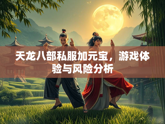 天龙八部私服加元宝，游戏体验与风险分析  第1张