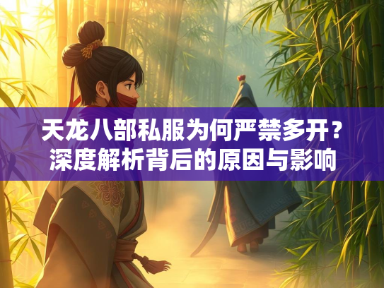 天龙八部私服为何严禁多开？深度解析背后的原因与影响  第2张