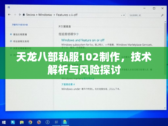 天龙八部私服102制作，技术解析与风险探讨  第3张
