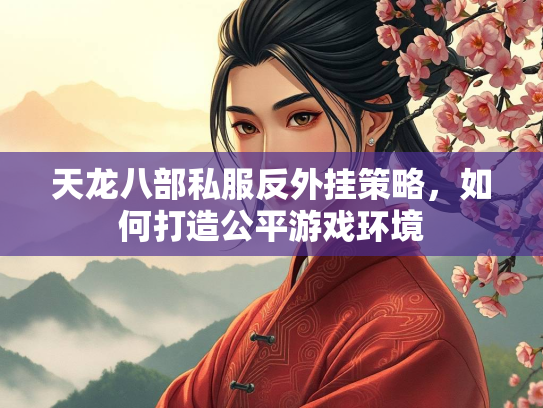天龙八部私服反外挂策略，如何打造公平游戏环境  第2张