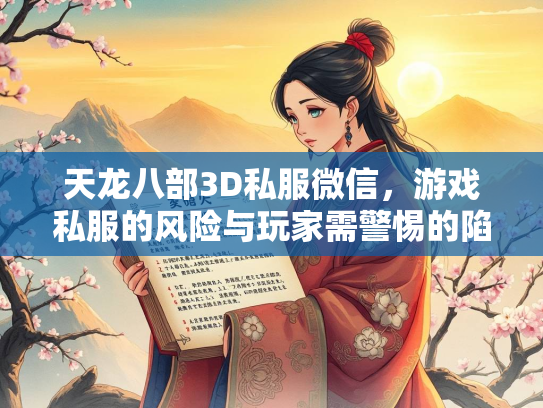 天龙八部3D私服微信，游戏私服的风险与玩家需警惕的陷阱  第2张