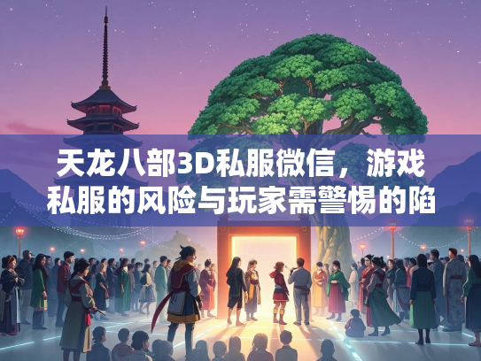 天龙八部3D私服微信，游戏私服的风险与玩家需警惕的陷阱  第3张