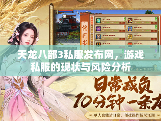 天龙八部3私服发布网，游戏私服的现状与风险分析  第2张